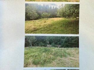 Prodej nemovitého majetku z likvidace pozůstalosti v kat. území Turzovka (Slovensko)