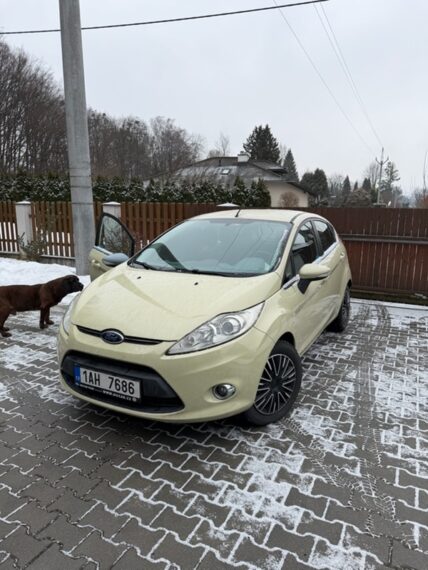 FORD FIESTA typ JA8